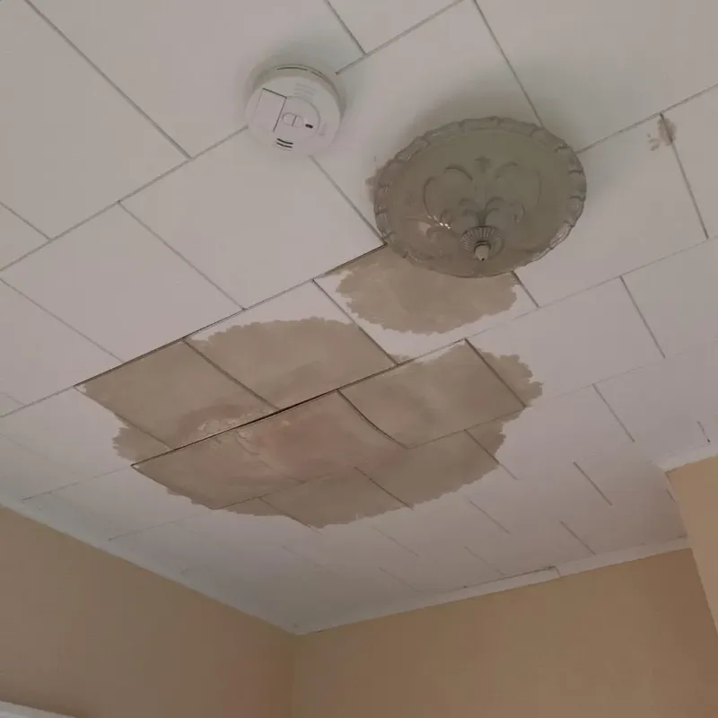 Ceiling Water Damage Repair in Plattsburg, MO