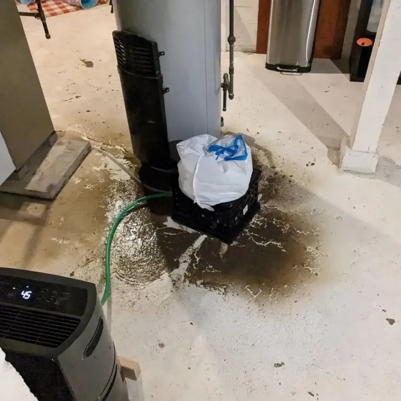 Sewage Backup Cleanup Service in Plattsburg, MO